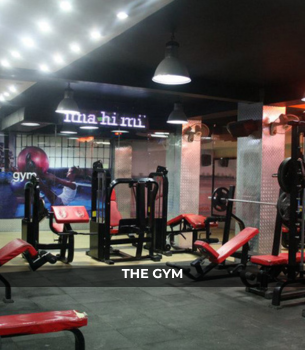 Gyms And Fitness Center Near Me