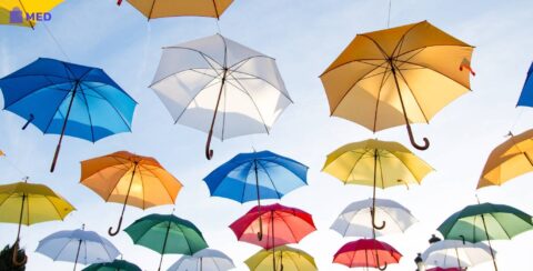 Best Umbrella Brands In India