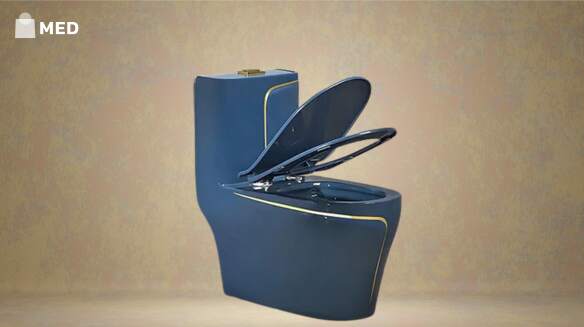 best indian toilet seat