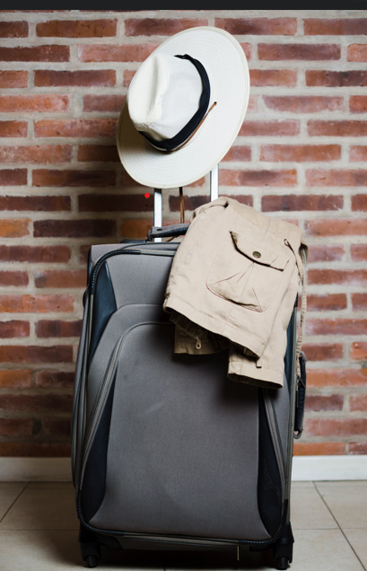 best travel bags brands in india