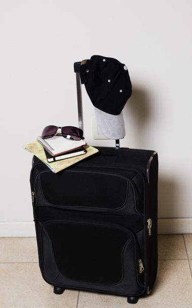 top travel bags brands in india