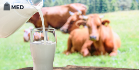 Best Milk Brands in India