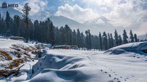 Best Places To Visit In India In January 2025
