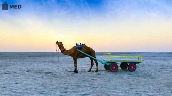 best places to visit in january in india