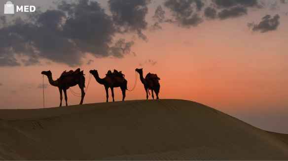 10 Best Places to Travel in January in india