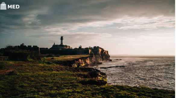 best places to visit in January in India 