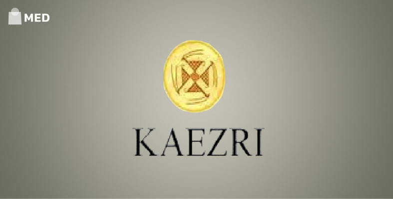 branded leather belts