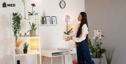 Top Ideas For Organizing Your Home