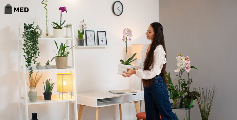 Top Ideas For Organizing Your Home