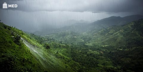 Places to visit in South India in monsoon
