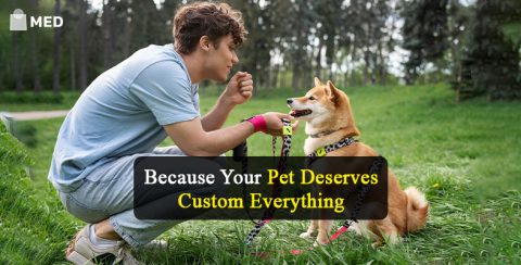 Rising Demand of Personalized Pet Food, Harnesses, and Beds in the USA