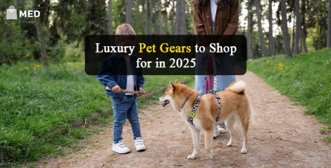 Luxury Pet Gear to Shop for in 2025